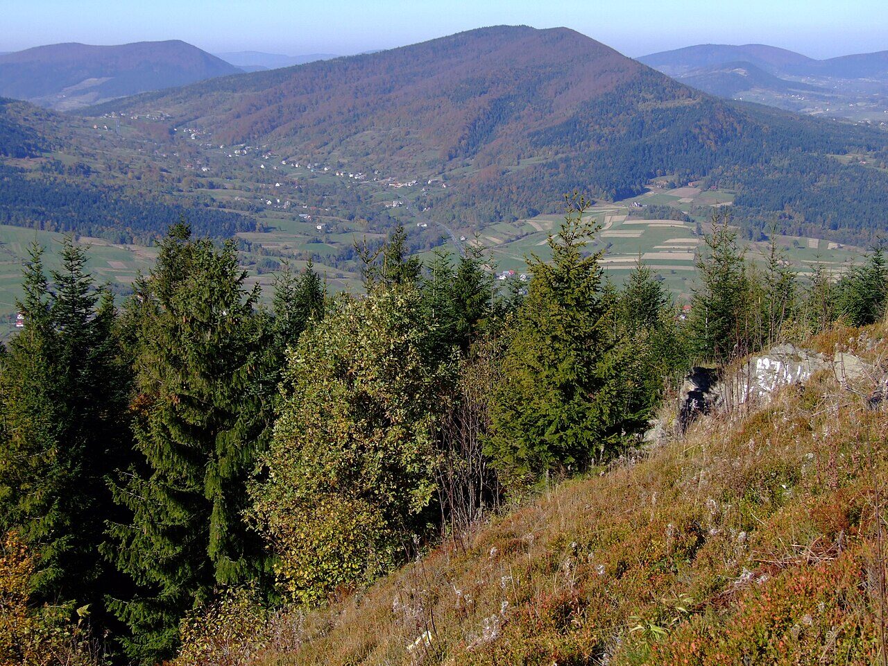Zalesiony masyw Śnieżnicy nad doliną z rozproszoną zabudową, jesienią; na pierwszym planie świerki na stromym zboczu