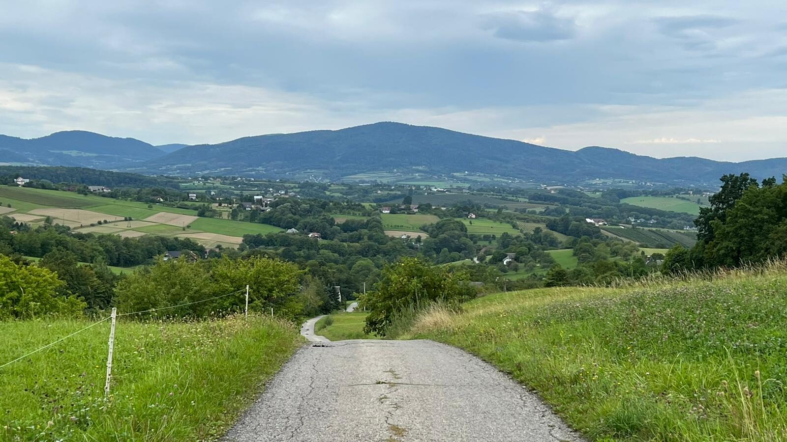 Okolica - Ciecień z drogi w pobliżu domu